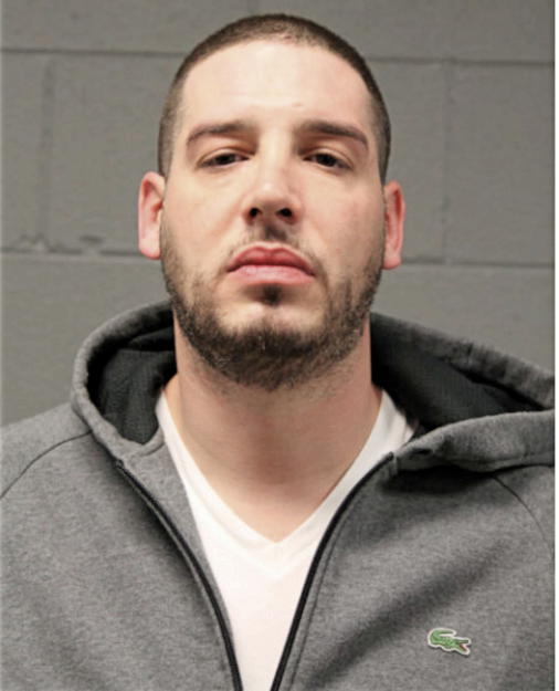 DANNY BLAGOJEVIC, Cook County, Illinois