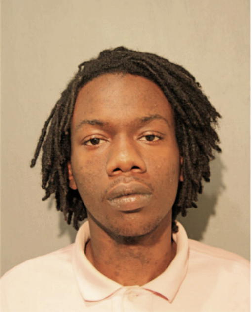 RAPHAEL R BOWDEN, Cook County, Illinois