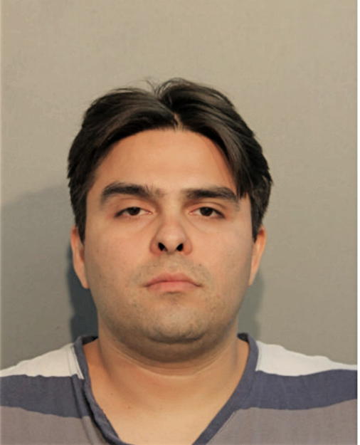 PEDRO FAVELA, Cook County, Illinois