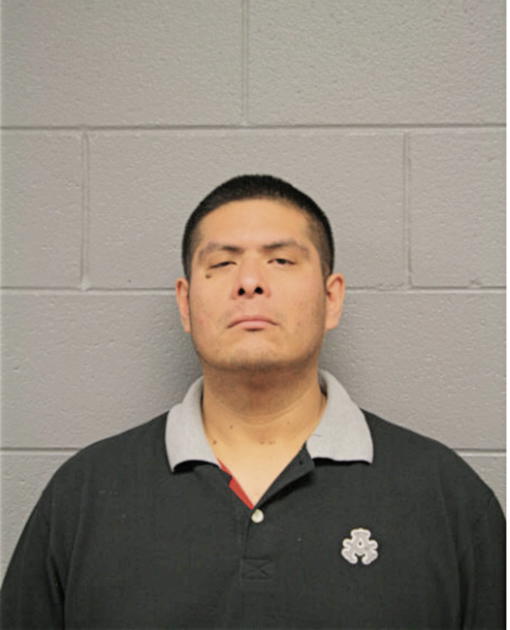 JAMES GOSCINIAK, Cook County, Illinois