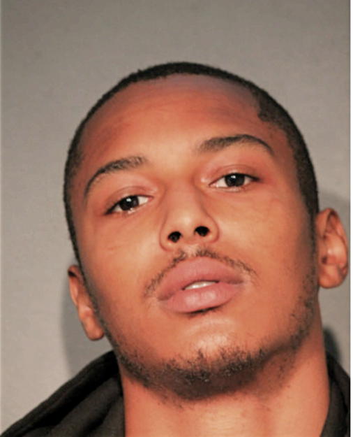 ADAM B HONORE, Cook County, Illinois