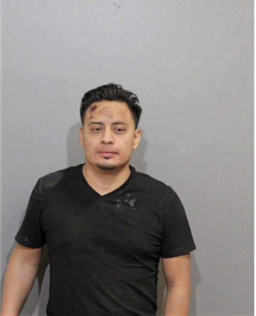 HENRY GUSTAVO IXCAL, Cook County, Illinois