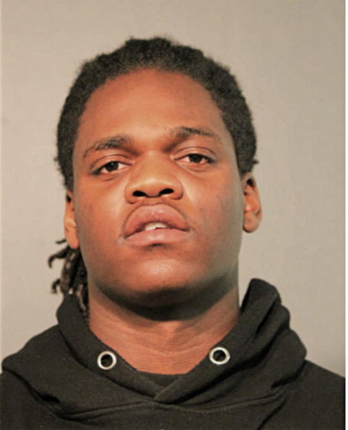 TERRRION DAMARION KITCHEN, Cook County, Illinois