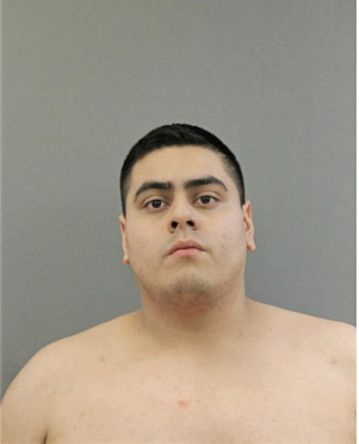 DAVID A LOPEZ, Cook County, Illinois