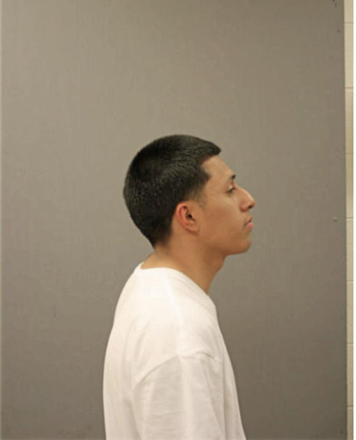 JONATHON ORTIZ, Cook County, Illinois