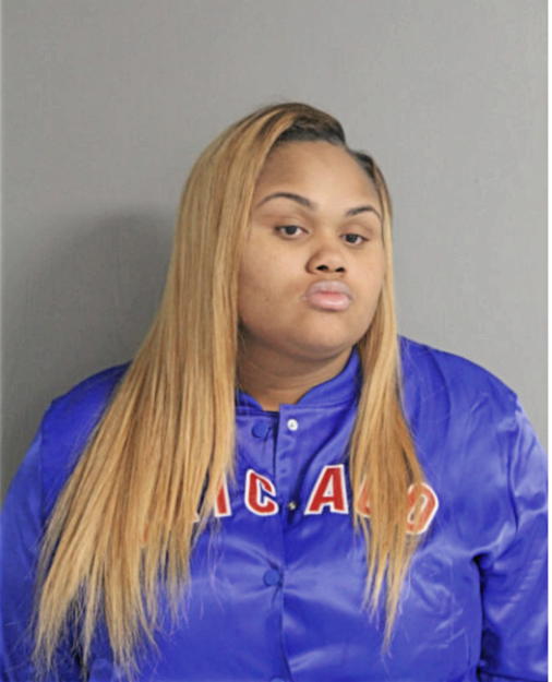 BRIANNA S PROFIT, Cook County, Illinois
