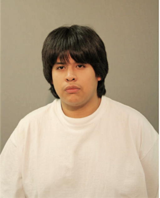 RAMIRO VILLEGAS, Cook County, Illinois