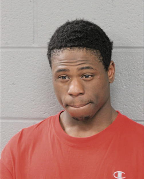 DAVID T YOUNG, Cook County, Illinois