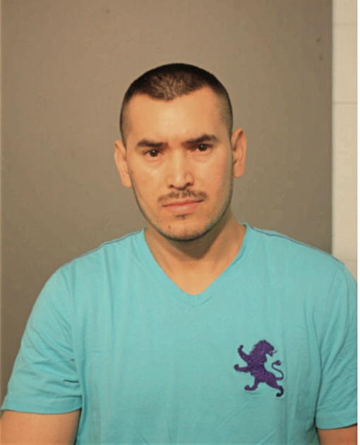 MANUEL J ALFARO, Cook County, Illinois