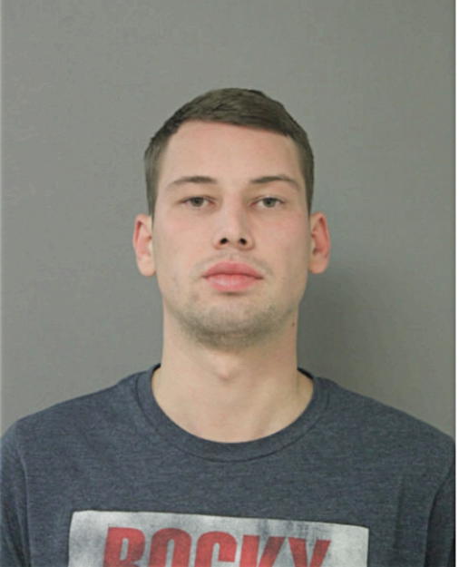 STANISLAV ANDRIIKO, Cook County, Illinois