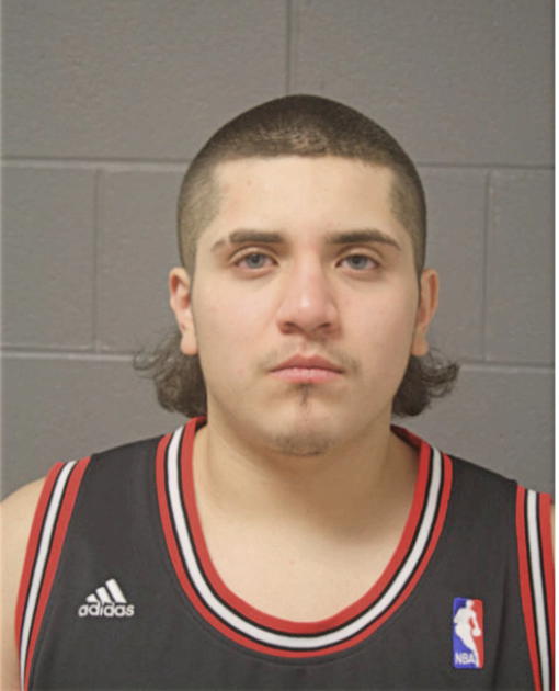 CESAR E BARRERA, Cook County, Illinois