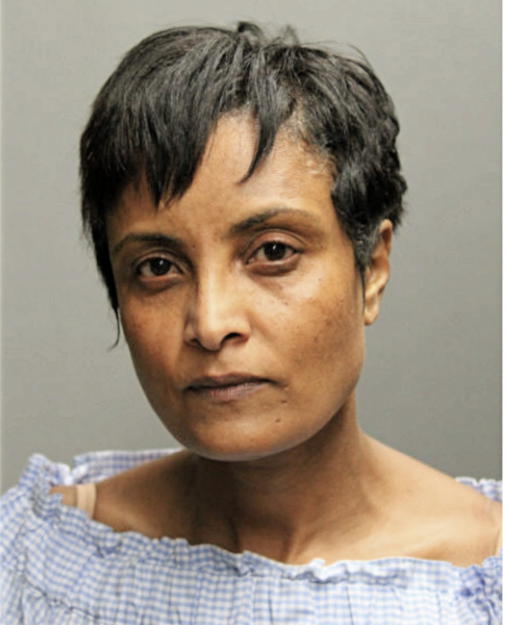 SELOME BISRAT, Cook County, Illinois