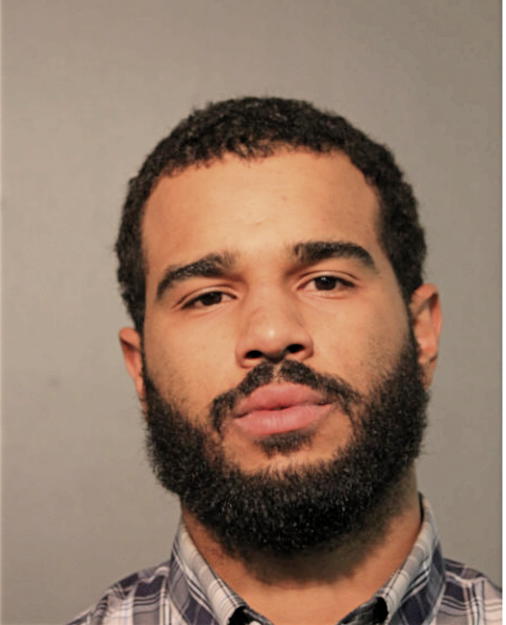 DEREK M BLOUNT, Cook County, Illinois