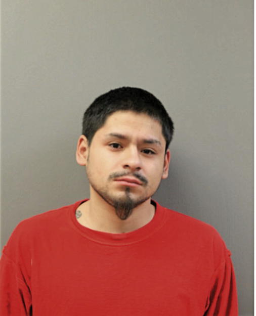 BRIAN CHRISTERNA, Cook County, Illinois