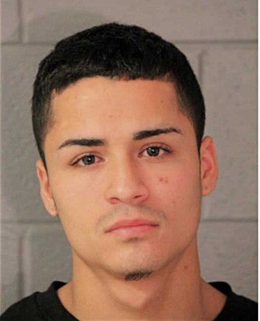 DAVID A COLON, Cook County, Illinois