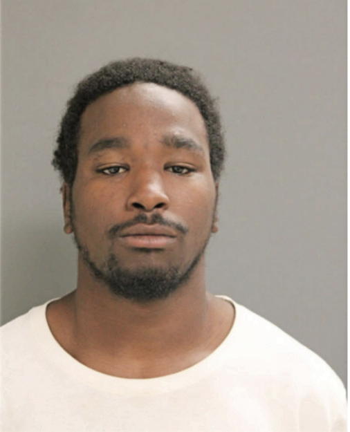 JAVANTE K HOUSTON, Cook County, Illinois