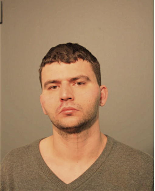JOHN L HUNT, Cook County, Illinois