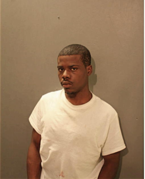 CARMICHAEL LEWIS, Cook County, Illinois
