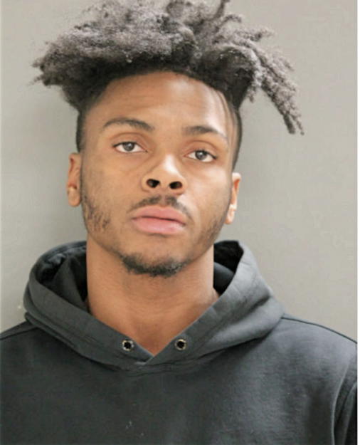 WILLIAM M LEWIS, Cook County, Illinois