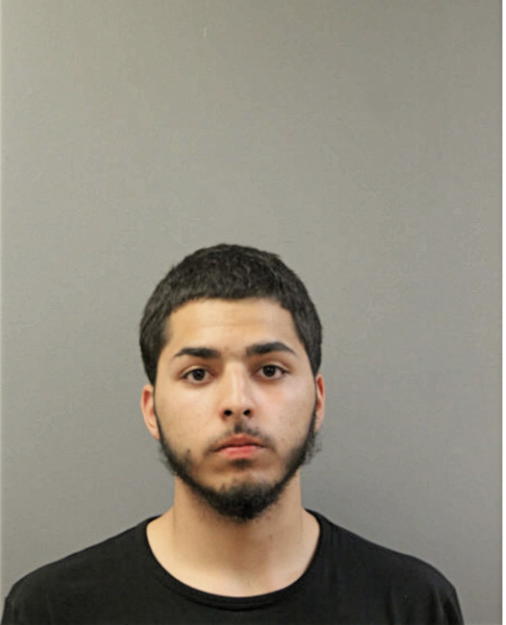 ORLANDO D MAISONET, Cook County, Illinois