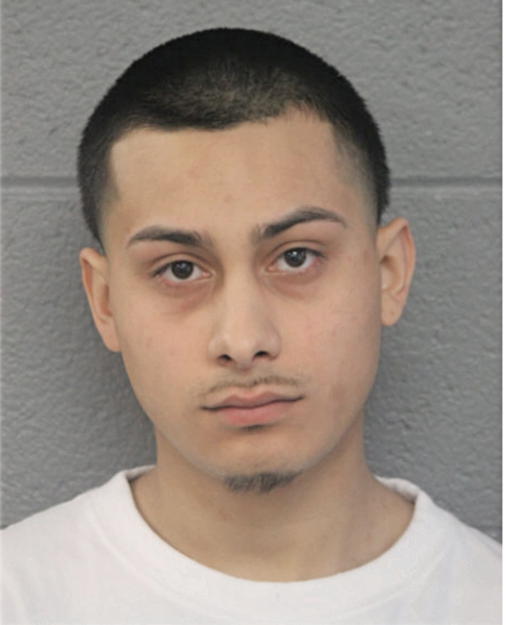 LUIS G MEJIA, Cook County, Illinois