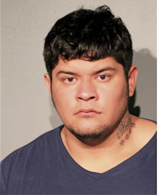 DANIEL E MILLAN, Cook County, Illinois