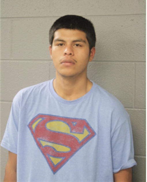MANUEL NAVA, Cook County, Illinois