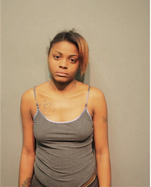 CHRISTIAN C NEWMAN, Cook County, Illinois