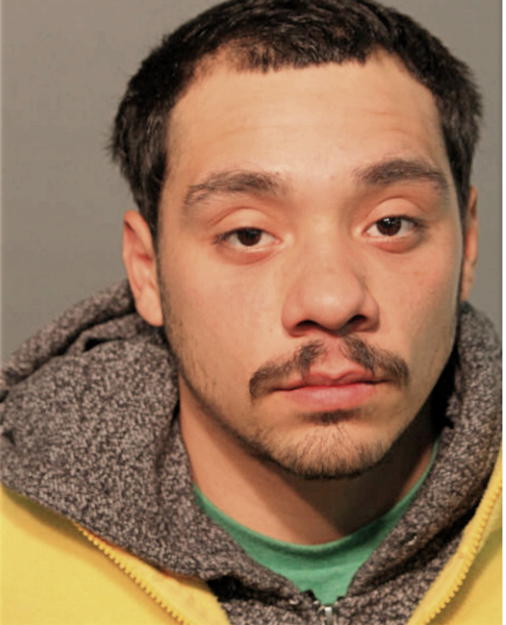 NICHOLAS RAYA, Cook County, Illinois