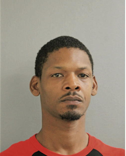 SIMON T STEEL, Cook County, Illinois