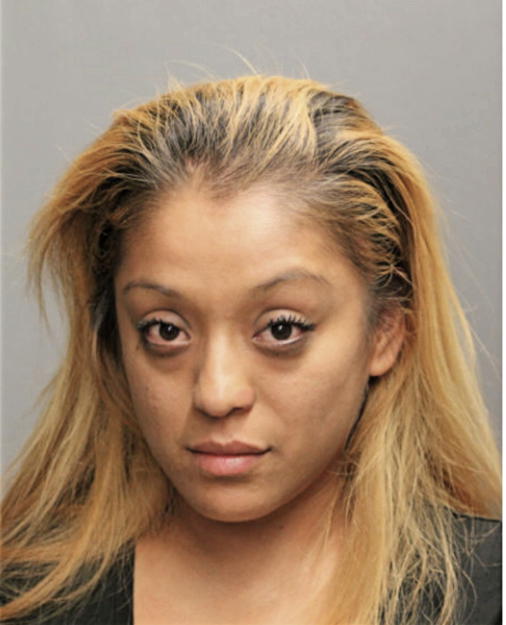 YEDID TORRES, Cook County, Illinois