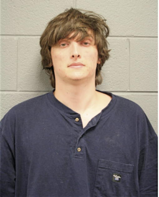 AARON J TRAVIS, Cook County, Illinois
