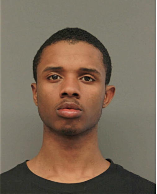 DARNELL L WILSON, Cook County, Illinois