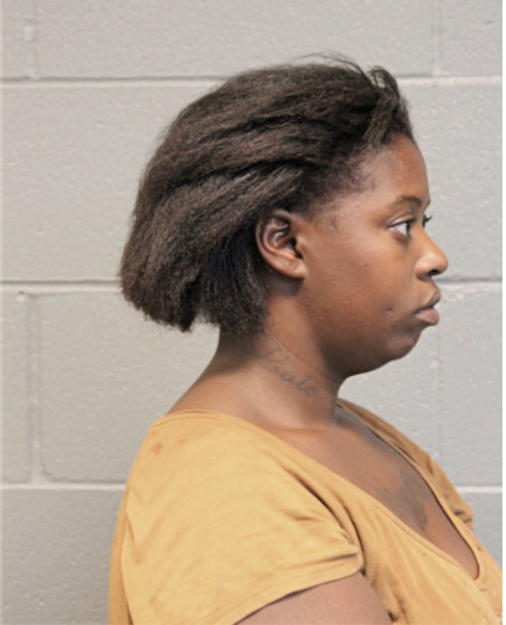 TRISTESSE AYERS, Cook County, Illinois