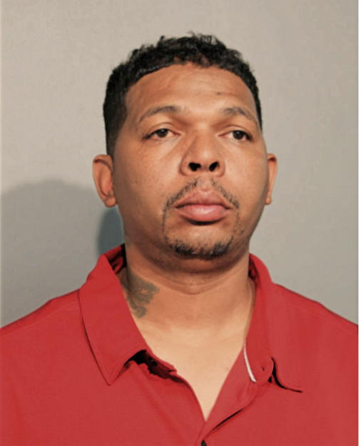 DAVID L BIBBS, Cook County, Illinois