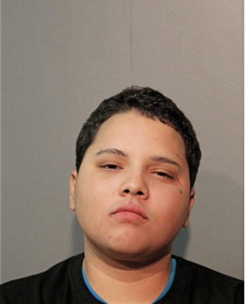 ANGELIQUE J CASTRO, Cook County, Illinois