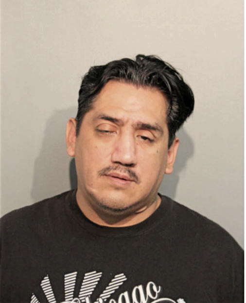 FRANCISCO J GONZALEZ, Cook County, Illinois
