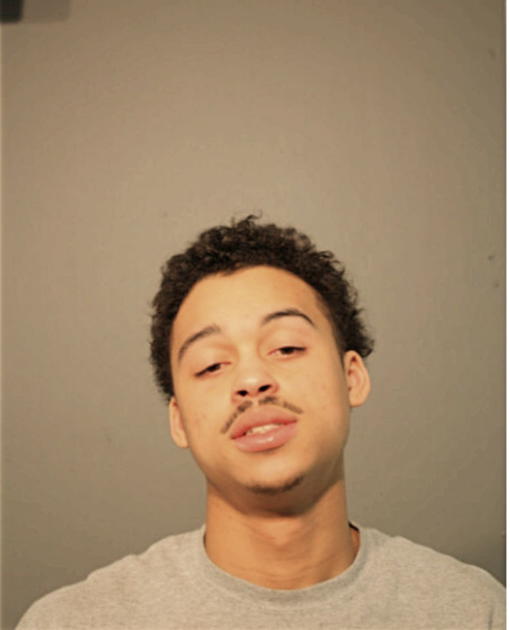 TROY N GUENO, Cook County, Illinois