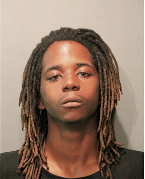 BRIAN K HOLMES, Cook County, Illinois