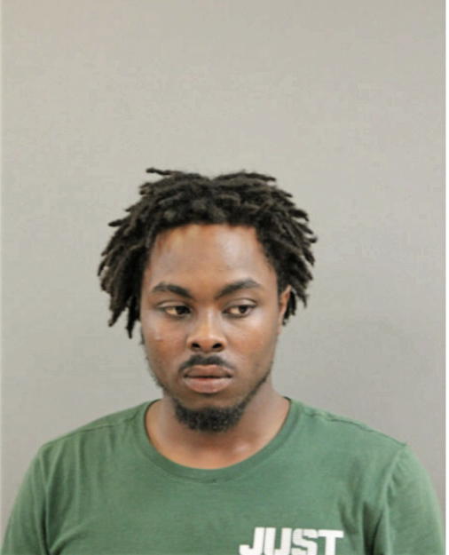 SHAUN M JENKINS, Cook County, Illinois