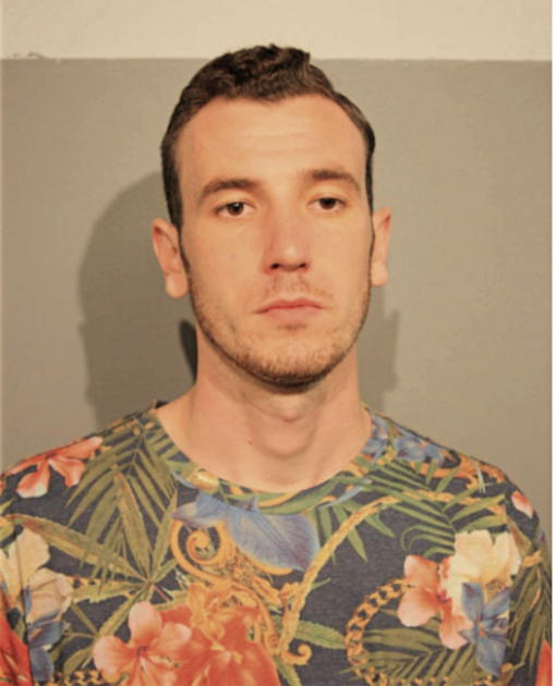 PATRICK W JOHN, Cook County, Illinois