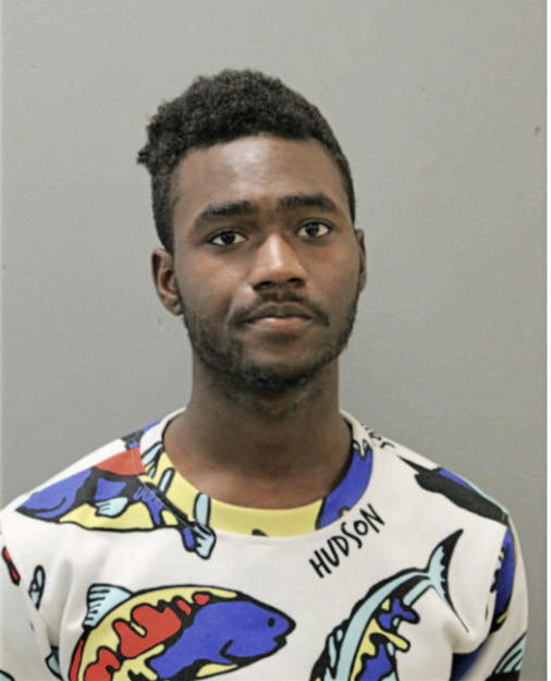 JERMAINE S JOHNSON, Cook County, Illinois