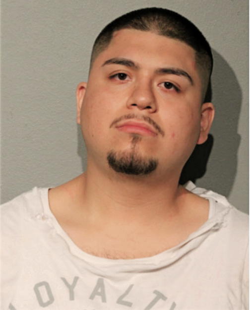LUIS A LOPEZ, Cook County, Illinois