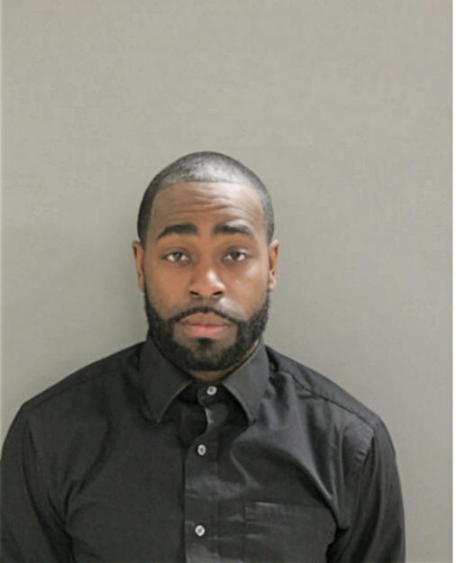 MICHAEL J MADDOX, Cook County, Illinois