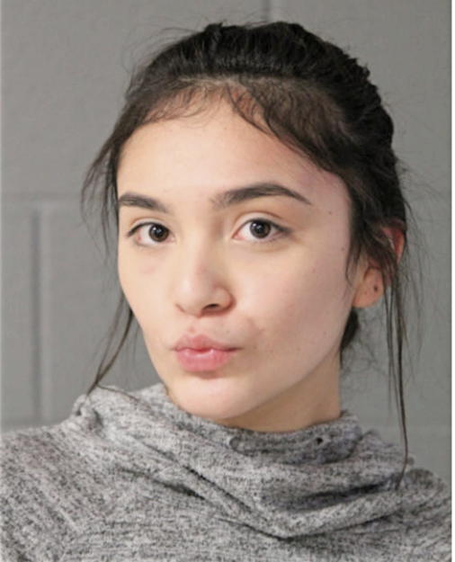 SIERRA MAYORGA, Cook County, Illinois