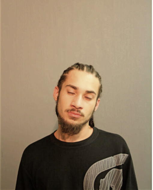 LUIS X MERCADO, Cook County, Illinois