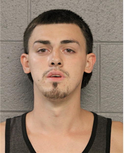 LUIS OCON, Cook County, Illinois