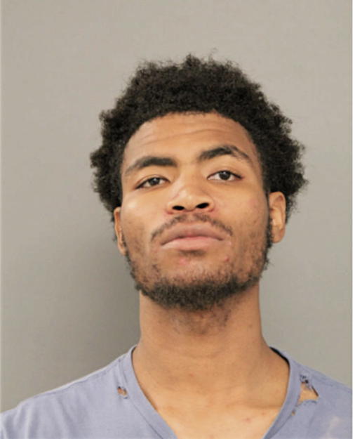 DEONTAY L PAGE, Cook County, Illinois