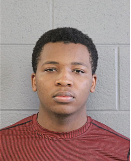 BRANDON L PATTON, Cook County, Illinois