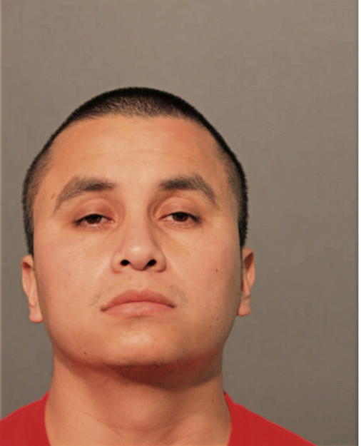 HUGO RAMIREZ-MENDOLA, Cook County, Illinois